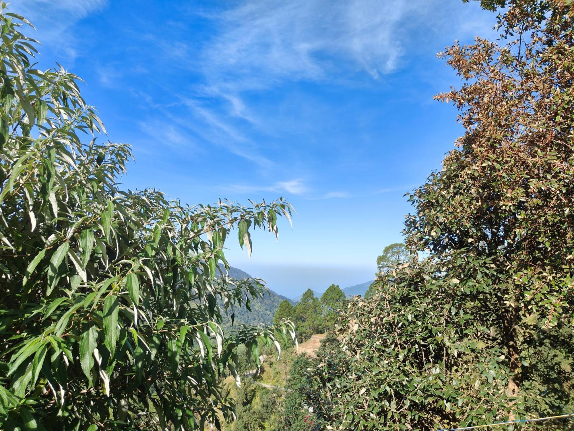 Himwanderer Camps & Cottages Pangot Nainital Exterior foto